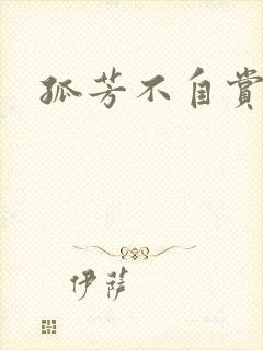 孤芳不自赏小说