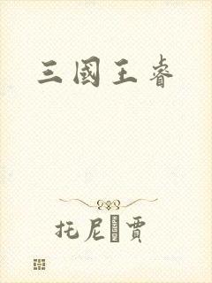 三国王睿