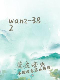wanz-382