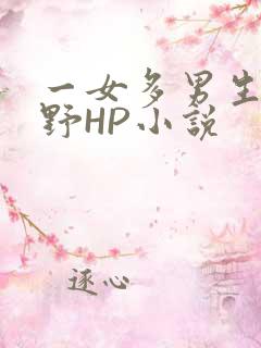 一女多男生活狂野HP小说