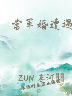 当军婚遭遇爱情