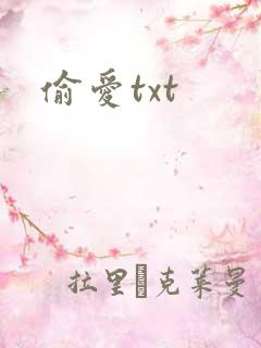 偷爱txt