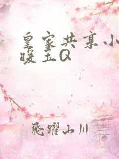 皇家共享小公主暖玉Q