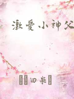 激爱小神父