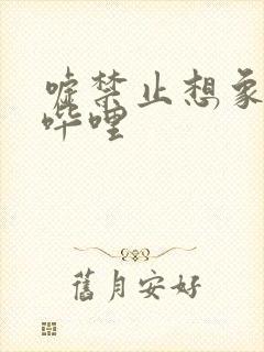 嘘禁止想象哔哩哔哩