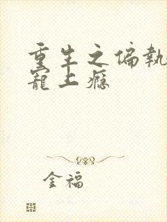 重生之偏执老公宠上瘾