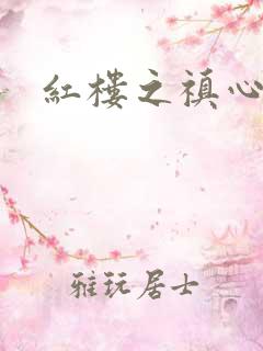 红楼之禛心锁玉
