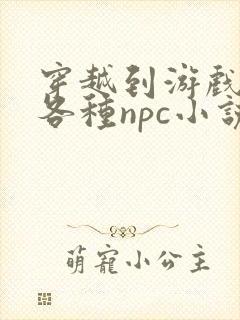 穿越到游戏里和各种npc小说