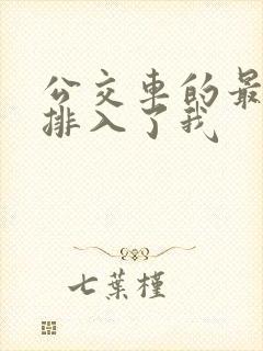 公交车的最后一排入了我