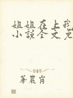 姐姐在上我在下小说全文免费阅读