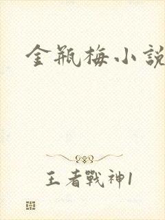 金瓶梅小说在线