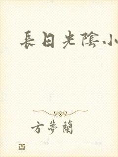 长日光阴小说