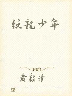 纹龙少年