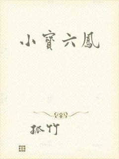 小宝六凤