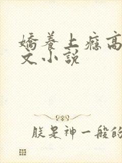 娇养上瘾高H爽文小说