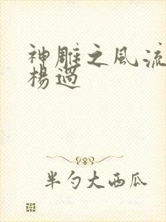 神雕之风流浪子杨过