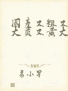 国产又粗又猛又大爽又黄大爷