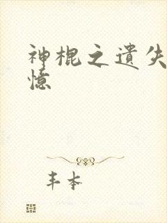 神棍之遗失的记忆