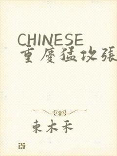 CHINESE重庆猛攻张先生