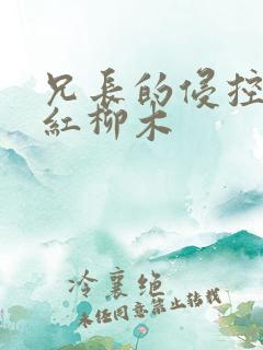 兄长的侵控by红柳木