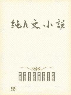 纯h文小说