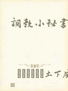 调教小秘书