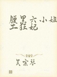 腹黑六小姐 特工狂妃