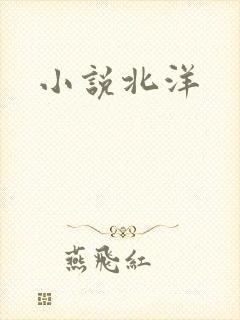 小说北洋