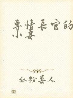 专情长官的天价小妻