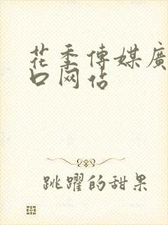 花季传媒广告入口网站