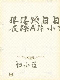 狠狠躁日日躁夜夜躁A片小说