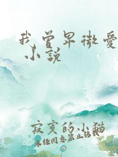我曾卑微爱过你 小说