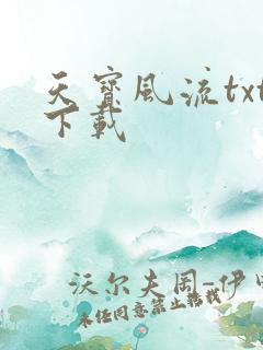 天宝风流txt下载