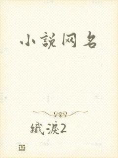 小说网名