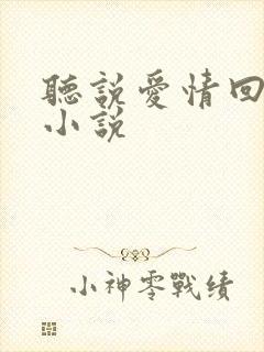 听说爱情回来过小说