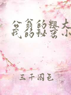 公翁的粗大放进我的秘密小说