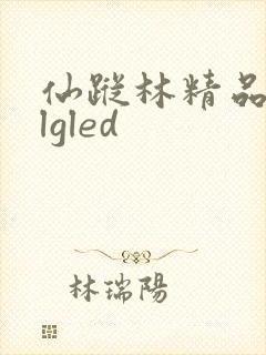 仙踪林精品zzlgled