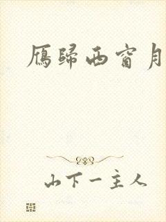 雁归西窗月小说