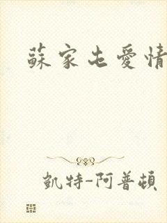 苏家屯爱情故事