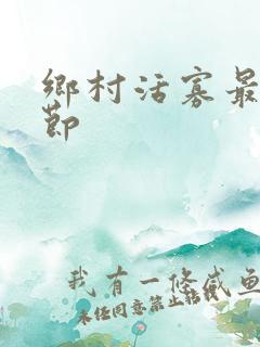 乡村活寡最新章节