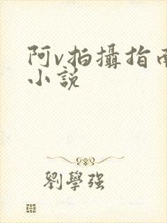 阿v拍摄指南说小说