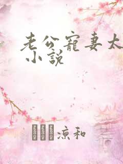 老公宠妻太甜蜜 小说