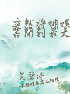 突然将蝴蝶遥控器开到最大