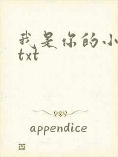 我是你的小小狗txt
