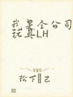 我是全公司发泄玩具LH