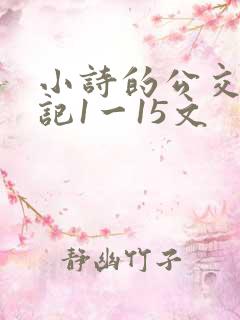 小诗的公交车日记1一15文