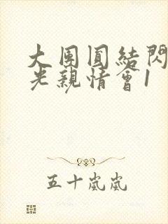 大团圆结闪闪发光亲情会1