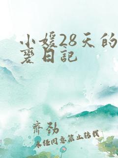 小媛28天的剧变日记