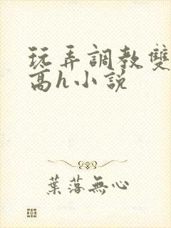 玩弄调教双胞胎高h小说