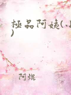 极品阿姨(小说)